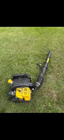 champion power pack leaf blower