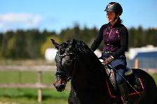 Four year old Warlander Gelding - Photo 3