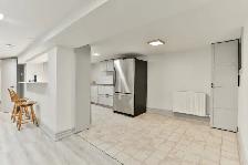 Triple Mint High Park Basement for Rent $1850 - Photo 5