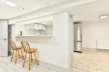 Triple Mint High Park Basement for Rent $1850 - Photo 7