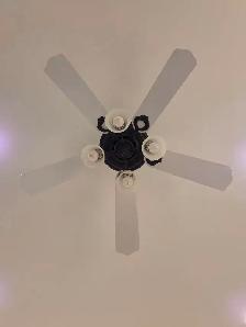 52" Ceiling Fan & Light - Photo 3