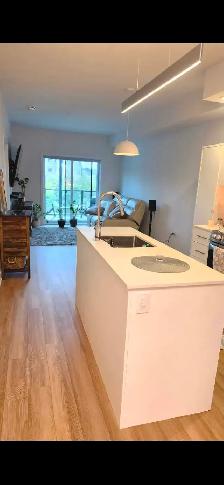 Apartment lease Takeover. - Photo 2
