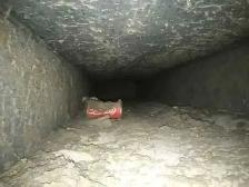 Furnace & Duct Cleaning Services - Photo 4