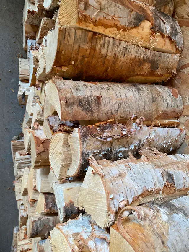 Birch firewood