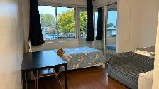 　Downtown Near McGill All Included Furnitured Studio for Rent !