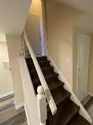 Renovated 2 bedroom basement - Photo 3