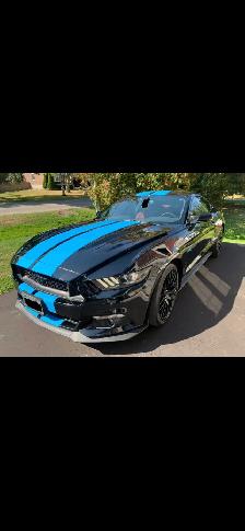 Ford Mustang GT Premium - Photo 2
