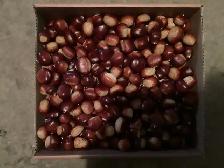 Fresh Chestnuts for sale!
