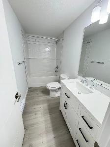 Basement For Rent - Photo 6