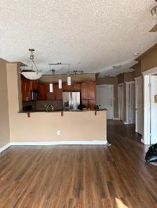 Utilities Included 1 Bed   Den in Discovery Ridge SW, Calgary