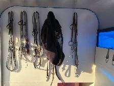 Horse Trailer - Photo 9