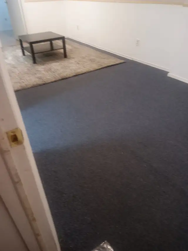 One-bedroom Basement Apartment with Separate Entrance Available