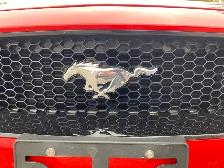 2020 Ford Mustang GT - Photo 14