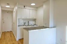 studio apartment near McGill - ID 3851
