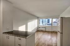 studio apartment near McGill - ID 3851 - Photo 4