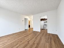 1 CH - 1 SDB - Montréal - $1,250 /mo