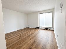 1 CH - 1 SDB - Montréal - $1,250 /mo - Photo 2