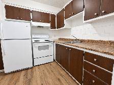 1 CH - 1 SDB - Montréal - $1,250 /mo - Photo 3
