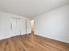 1 CH - 1 SDB - Montréal - $1,250 /mo - Photo 4