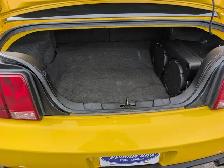 2006 Ford Mustang GT 2dr Cpe GT - Photo 6