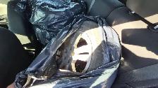 2015 Chevrolet Sonic LT, WELL MAINTAINED, GREAT ON FUEL, CERTIFI - Photo 15