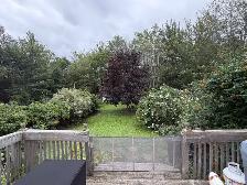 Spacious 3-bedroom duplex with yard, deck and driveway parking - Photo 8