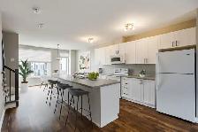 KoL Townhomes - Townhouse (3 bedroom) - 220-266 Livery St, Stitt - Photo 5