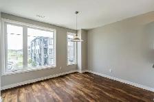 KoL Townhomes - Townhouse (3 bedroom) - 220-266 Livery St, Stitt - Photo 7
