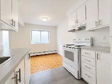 1 CH - 1 SDB - Montréal - $1,450 /mo - Photo 4