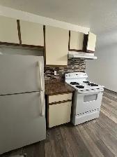Spacious 1 Bedroom 1 Bath with Balcony - Photo 2