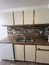 Spacious 1 Bedroom 1 Bath with Balcony - Photo 3
