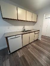 Spacious 2 Bedroom 1 Bah with Balcony - Photo 3