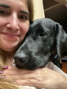 Dog Training & Trainers for Busy People - Photo 10