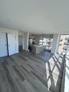 2bed 2bath penthouse - Photo 3