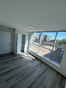 2bed 2bath penthouse - Photo 9