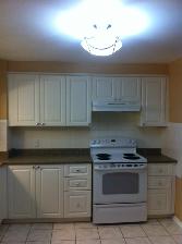 EXECUTIVE 3BDRM Townhome For Rent in Orleans Dec 1st $2,725 - Photo 5