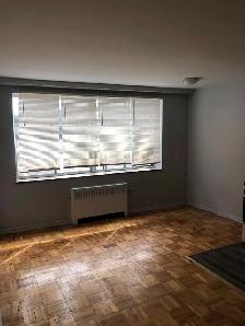 Large Two Bedroom Unit Steps from Upper James - Photo 2
