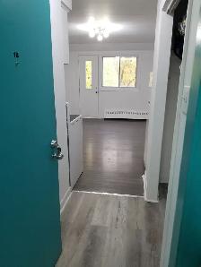 1 1/2 3935 Masson, Rosemont H1X 1TR