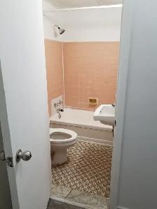1 1/2 3935 Masson, Rosemont H1X 1TR - Photo 3