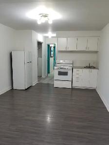 1 1/2 3935 Masson, Rosemont H1X 1TR - Photo 4