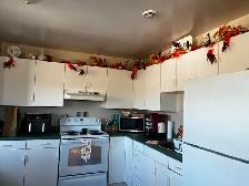 3 Bedrooms Spacious and Bright Apartments for rent in Antigonish - Photo 3