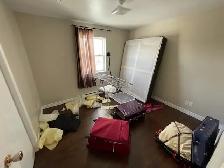 3 Bedrooms Spacious and Bright Apartments for rent in Antigonish - Photo 9