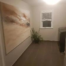 Large room hardwood, walking closet, Kanata, 5min from HWY - Photo 9