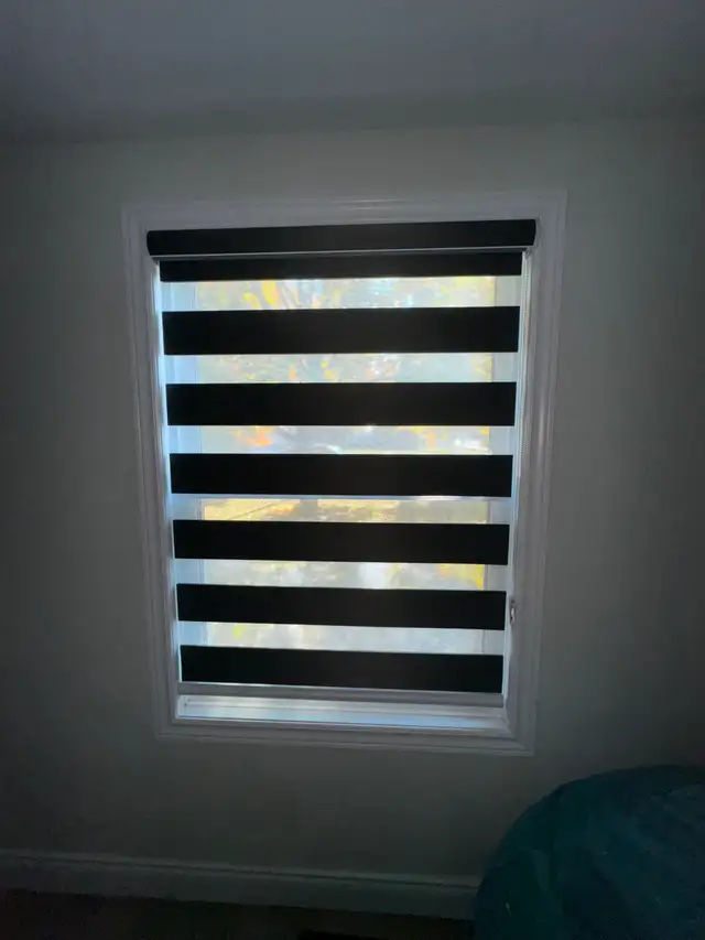 Zebra Blinds – Light Filtering Dual Layer Shades
