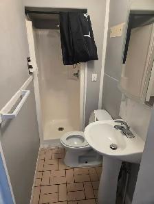 1 Bedroom Apartment in older home close to Forum - Photo 6