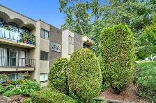 Park Astoria Apartments - Bachelor available at 430 11th Street, - Photo 5