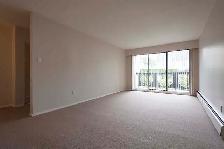 Park Astoria Apartments - Bachelor available at 430 11th Street, - Photo 7