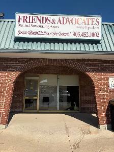 2,389 SF Storefront for Lease - 239 Queen St E, Brampton - Photo 3