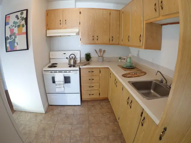 Lennoxville Très grand 3 1/2 - 15 nov'26 / 1 bedroom spacious