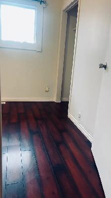 5 min Walk to Franklin or Barlow Max Bell Ctrain/ 8 min Downtown - Photo 3